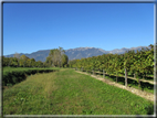 foto Paesaggi alle Pendici del Monte Grappa